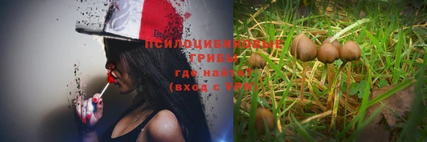соль курить ск Богородицк