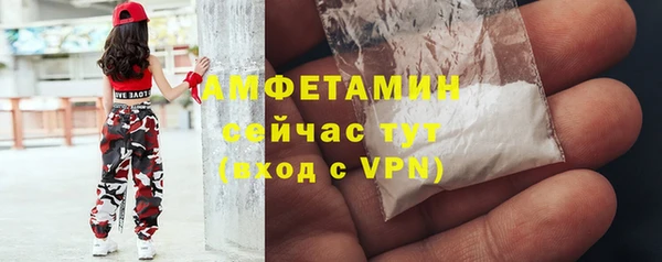 сатива Богданович