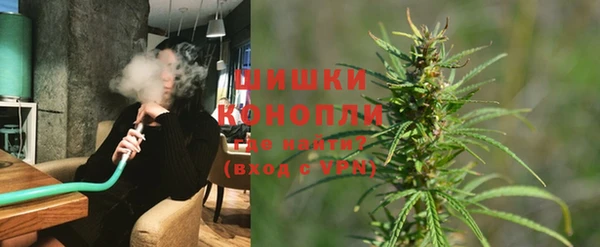 сатива Богданович