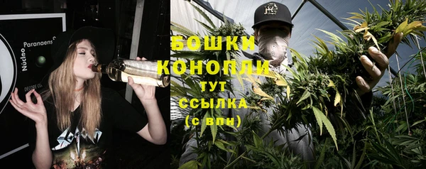 сатива Богданович