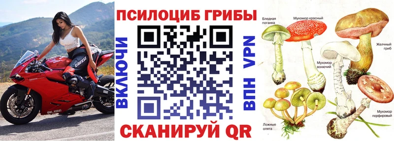 мега зеркало  закладка  Кущёвская  Галлюциногенные грибы Magic Shrooms 